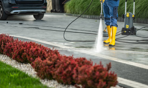 Best Driveway Pressure Washing  in Kewaunee, WI